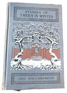 Old Studies Of Trees In Winter - Huntington Deciduous America 1900s Fine Binding - Picture 1 of 18