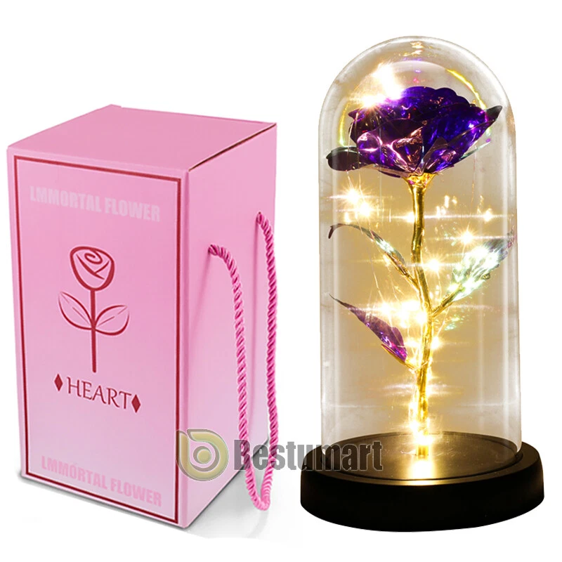 Eternal Forever Galaxy Rosa Flor En Cúpula de Vidrio Luz LED Regalo Día de la Madre Foto 1 de 4