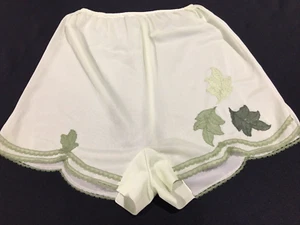 Vtg 60's Van Raalte Myth Dbl Nylon Gusset Panty Sz 7 - Picture 1 of 6