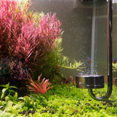 MARKENLOS CO2 Diffusor Kohlendioxid Reaktor Edelstahlrohr 3x Saugnäpfe Set