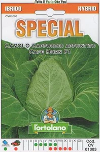 KABEL SPITZE KAPPE OFEN F1 - SEMI SPECIAL - Bild 1 von 1