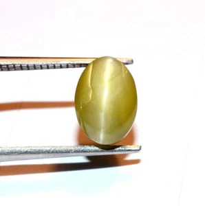 Yellow Color Chrysoberyl Cat's Eye Loose Cabochon Gemstone 10x7x6 MM Oval Shape - Picture 1 of 5