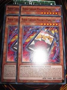 YU-GI-OH! C FLEUR CARDIAN PIVOINE A PAPILLON PLAYSET (LOT DE 4) INOV-FR014 NEUF - Bild 1 von 1