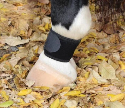 Professional's Choice Ventech Pastern Wraps - Image 1 of 2