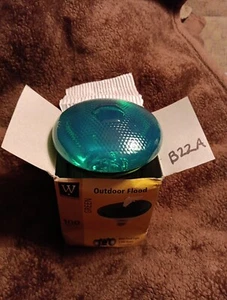 Westpointe 100W Green BR38 Outdoor Flood Standard Base - Picture 1 of 4