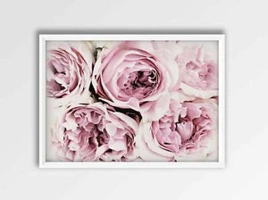 Estampado de peonías, arte de pared de peonías, decoración de peonías, flor de peonías, estampado de decoración del hogar - Imagen 1 de 5