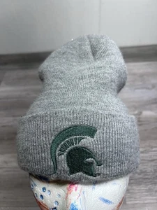 Carhartt Michigan State Spartans MSU Beanie Gray Knit Winter Hat OSFA USA Made - Picture 1 of 5