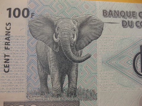 Congo Banknote, 100 Francs Bull Elephant, paper money, Neat animal note Cover