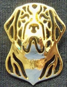 SAINT ST BERNARD Dog PIN Goldtone ~ Dog Lover - Picture 1 of 3