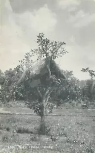 PAHANG MALAYSIA SAKAI HOUSE OLD REAL PHOTO POSTCARD VIEW - Picture 1 of 2