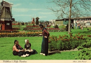 AK Michigan Holland Veldheer's Tulip Gardens 1978 Niederlande Windmühlen - Bild 1 von 2