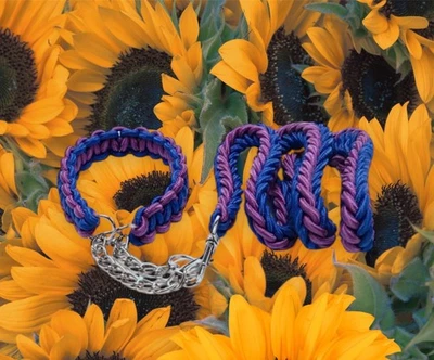 Juego de collar y correa para perro color azul + púrpura Foto 1 de 3