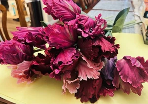 Lote de 16 flores de tulipán artificiales realistas vintage, 12 pulgadas de largo - Imagen 1 de 8