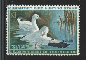 Bigjake: RW37,  $3.00 Ross Geese - *LH - Picture 1 of 1