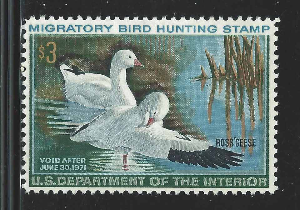 Bigjake: RW37,  $3.00 Ross Geese - *LH - Image 1 of 1