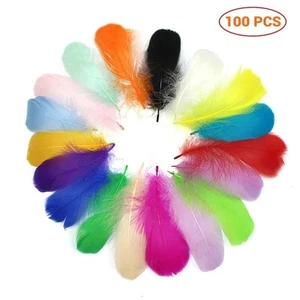 100Pcs Colorful Feathers For DIY Craft Wedding Home Party Decorations - Picture 1 of 5