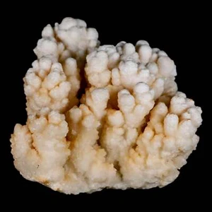 4" Botryoidal Aragonite Cave Calcite Crystal Cluster Mineral Specimen Morocco - Picture 1 of 8