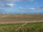 Photo 6x4 Farmland near Wainfleet (13) Hall Fm/TF5156 Three tractors lin c2009