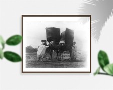 Photo: Merchants of the Sahara Desert,North Africa,Wares on backs of Camels,1880