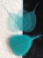 25 Turquoise Po Bo Banyan leaves skeleton leaf see through Wedding crafts Large