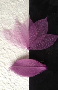 25 Skeleton Leaves Plum see through leaf Lilac Wedding Invitation cards medium - Picture 1 of 4