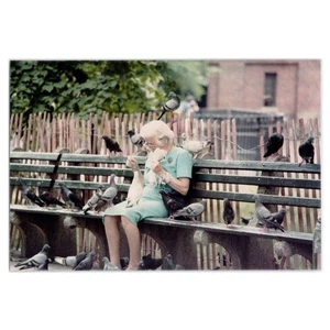 Schnappschuss der Taubendame auf einer Parkbank - 80er Jahre Candid Street Vogel Fotografie - Bild 1 von 2