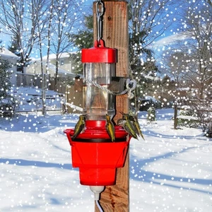 Hummingbird Feeder Heaters for Outdoors, Heated Hummingbird Feeder Attaches t... - Picture 1 of 6