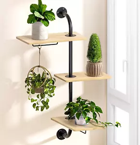 SS Rotating Window Plant Shelves Indoor, 3-Tier Wall Plant Holder, Metal Plant S - Picture 1 of 12