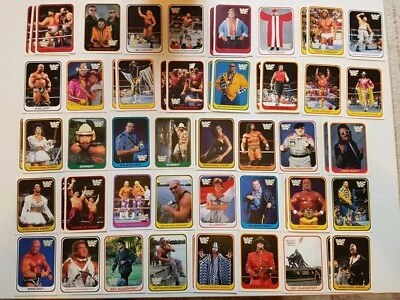 WWF Sammelkarten 1991 Merlin Trading Cards * 3 Karten zum Aussuchen * LESEN - Bild 1 von 4