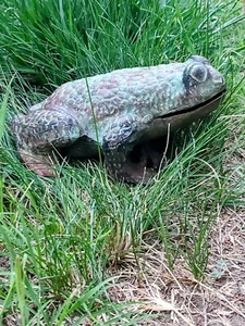 Vintage Metal Frog Lawn Décor signed by artist unique lawn frog pond décor - Picture 1 of 6
