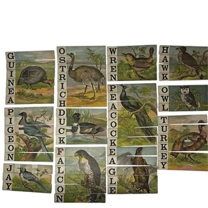 Antique Victorian Child Sliced Birds Slat Puzzle Set Of 12 Birds No Box Hawk Owl - Picture 1 of 5