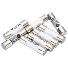 8Pcs Fusibili Ceramici 4A 380V, Fusibili per Microonde a Rapida Interruzione
