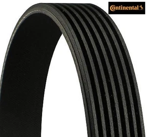 Cinghia trapezoidale Continental CTAM 7PK1119EXTRA per Hyundai per Kia  - Foto 1 di 1