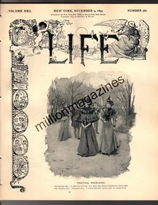 1893 Life November 9 - Jeffersonian Chicken; Richard harding Davis; India Storm - Picture 1 of 1