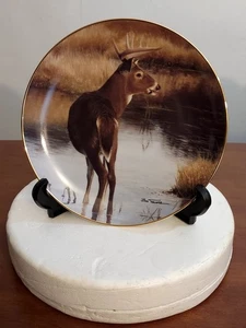 1992 Danbury Mint DAWN PATROL Stolz der Wildnis HIRSCHPLATTE Bob Travers NEU IN VERPACKUNG - Bild 1 von 3