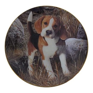 Danbury Mint 8" Beagles Collection Limited Edition Plate "Why Not" Simon Mendez - Picture 1 of 9