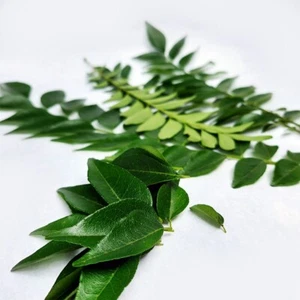 Hoja de curry seca Murraya Koenigii 50 g 100 % orgánica natural pura para el crecimiento del cabello - Imagen 1 de 6