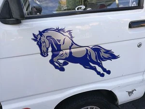 ADESIVI CAVALLO BICOLORE PER PORTER CAMION AUTO MOTO 60 CM (COPPIA) - Imagen 1 de 1