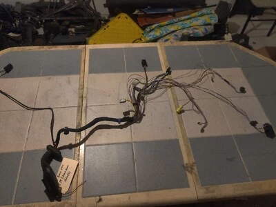 Arnés de cables conductor puerta delantera BMW E39 530I 2001 2002 2003 OEM Foto 1 de 4