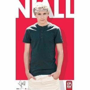 1D ONE DIRECTION NIALL HORAN POSTER BOY BAND GROUP NEW  - Picture 1 of 1