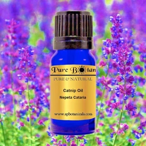 Catnip Essential Oil - 100% PURE & NATURAL - UNCUT - 10ml - Picture 1 of 1