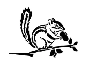 Schablone " Eichhörnchen6... " auf A4 - Bild 1 von 1