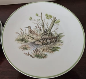 (4) Long Billed Dowitcher Bird Plate Bareuther Waldsassen Bavaria Germany - Picture 1 of 3