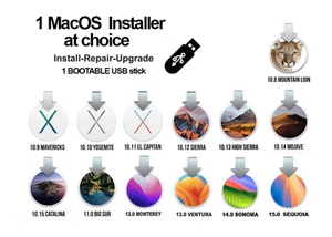 1 Clé USB de dépannage et installation MAC OS Sierra, Leopard, Sonoma, Sequoia. - Foto 1 di 1