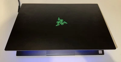 Razer Blade Pro 17,3 Zoll RZ09-03295G42 - Bild 1 von 4