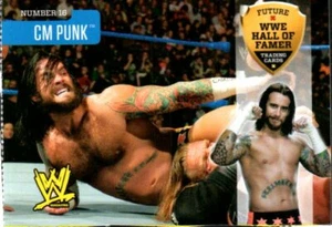 2010 WWE Magazine Future Hall of Fama Tarjeta Perforada #16 CM Punk 🙂 - Imagen 1 de 2