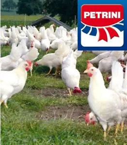 MANGIME PER GALLINE OVAIOLE P16 PETRINI, FARINA, SBRICCIOLATO, GALLINA KG.25 - Foto 1 di 3