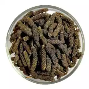 Pipal indio Choti Pippali flautista retrofractum hierba entera a granel comprar mejor precio - Imagen 1 de 2