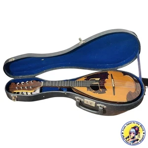 Toichiro Ishikawa Mandolin No.382 1968 Wooden Vintage instrument with Hard Case - Picture 1 of 10