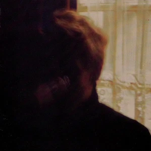 Palace Brothers by The Palace Brothers (CD, Aug-1994, Drag City) - Foto 1 di 2